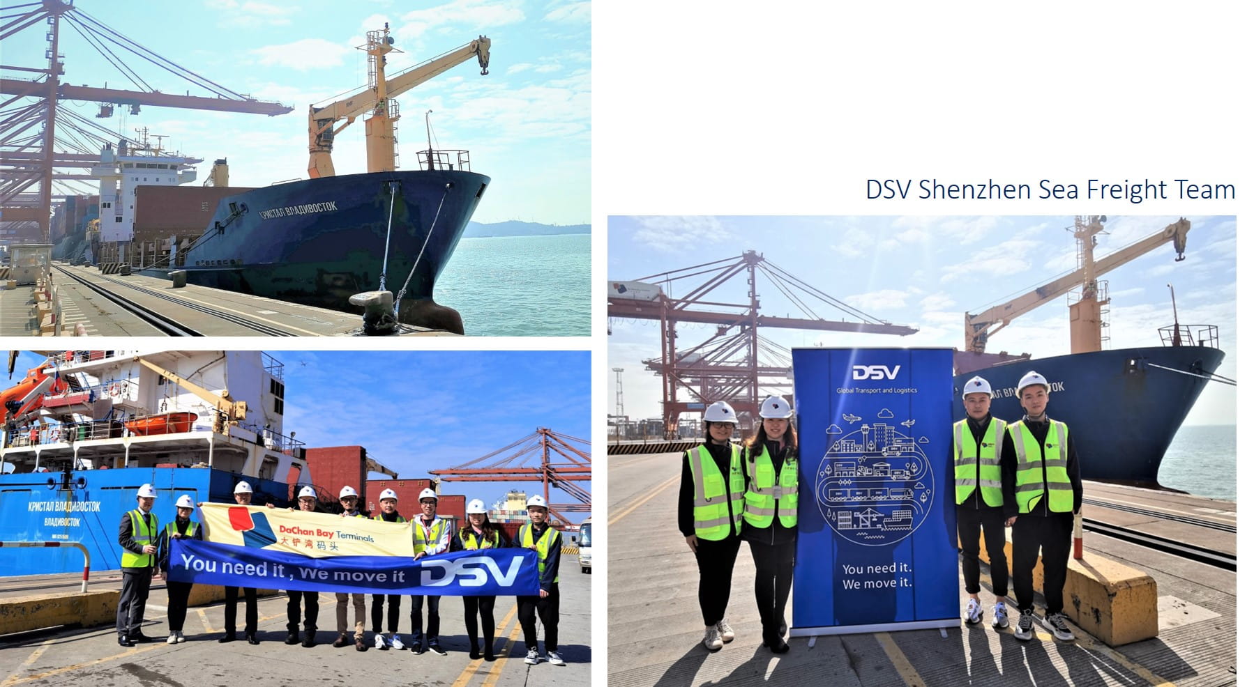 DSV Shenzhen sea freight team